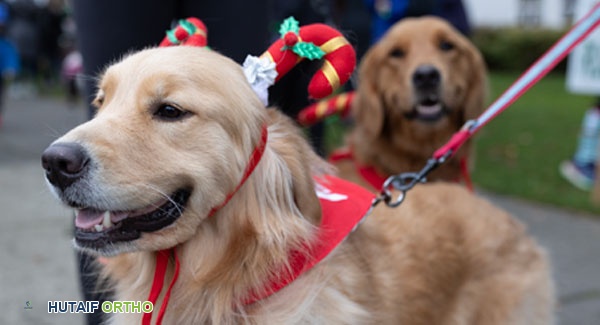 أدوات المطبخ الصديقة لالتهاب المفاصل: دليل شامل لتخفيف الألم وتسهيل الحياة اليومية