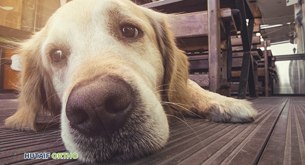 صورة توضيحية لـ ضعف قبضة اليد وصعوبة الإمساك بالبطاقات: دليل شامل للعلاج والتعافي مع الأستاذ الدكتور محمد هطيف