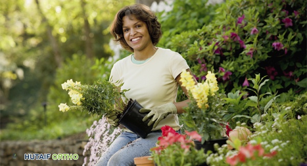 صورة توضيحية لـ أدوات البستنة المبتكرة: دليلك الشامل لتسهيل الزراعة وتخفيف آلام التهاب المفاصل بإشراف الأستاذ الدكتور محمد هطيف