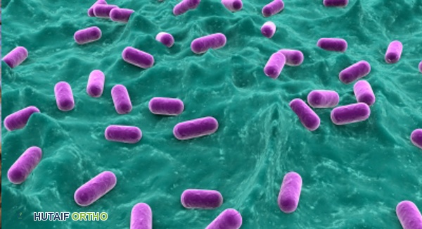 الحمى الروماتيزمية: دليل شامل للوقاية والعلاج والرعاية مع الأستاذ الدكتور محمد هطيف في صنعاء