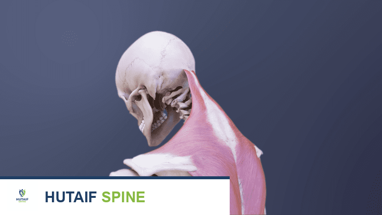 ركوب الدراجات وآلام الظهر والرقبة: دليل شامل من الأستاذ الدكتور محمد هطيف