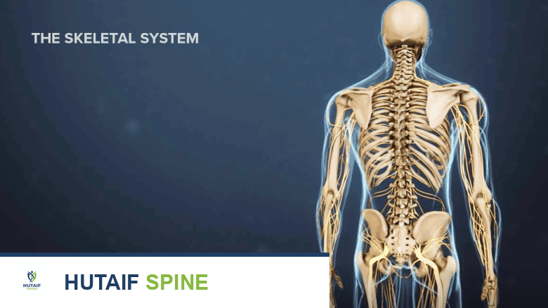 اختيار كرسي المكتب المريح الأمثل لصحة ظهرك: دليل شامل من الأستاذ الدكتور محمد هطيف