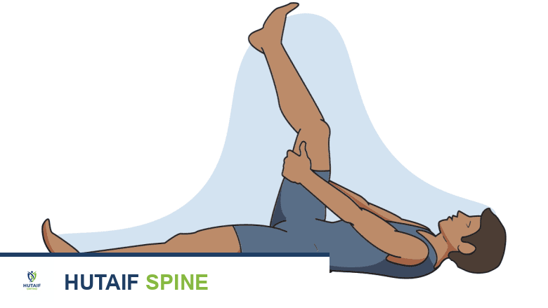 تمارين تثبيت أسفل الظهر: دليلك الشامل لتقوية العمود الفقري وتخفيف الألم مع الأستاذ الدكتور محمد هطيف