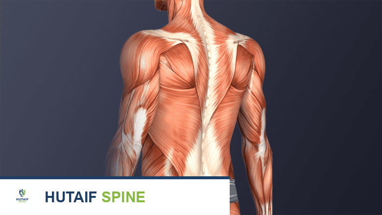 التعافي بعد دمج المفصل العجزي الحرقفي: دليل شامل من الأستاذ الدكتور محمد هطيف