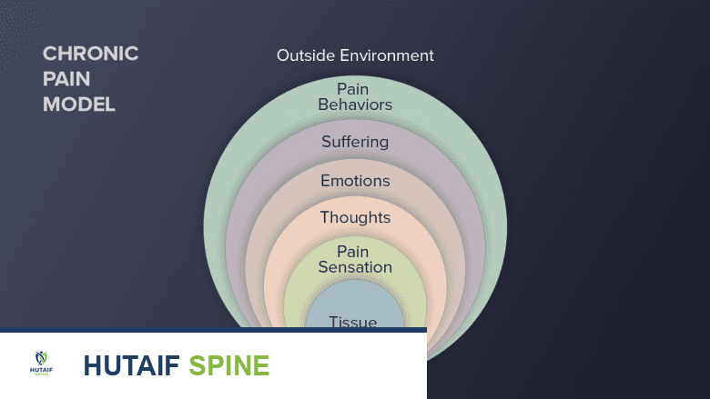 A diagram explaining the chronic pain model