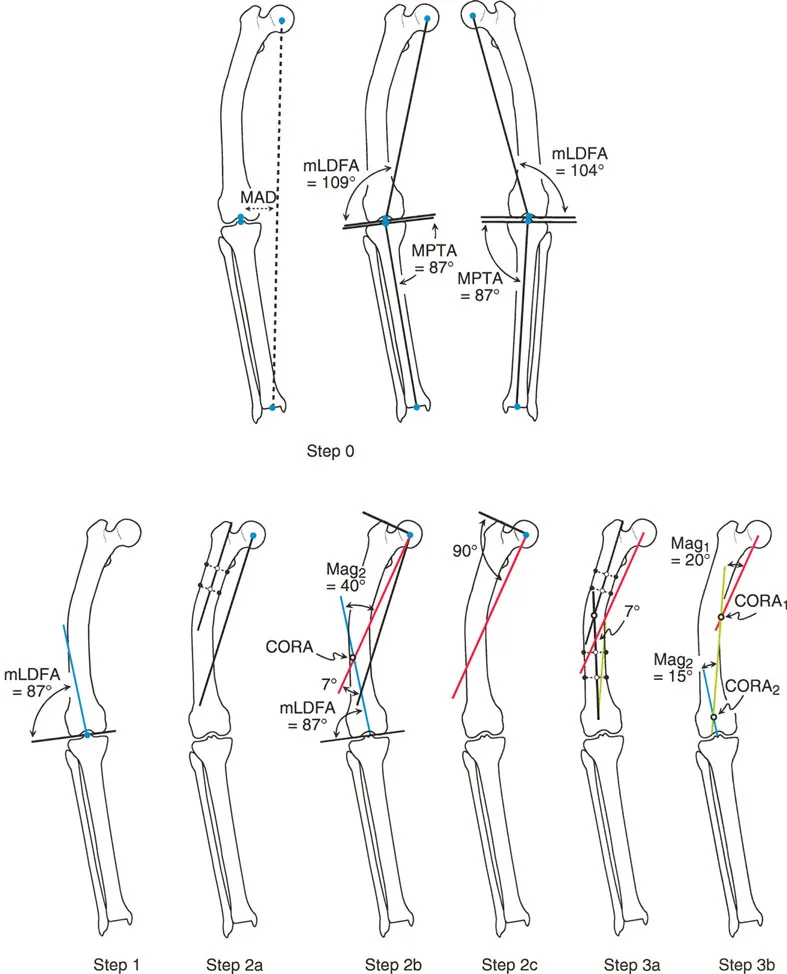 وصف طبي دقيق للمريض