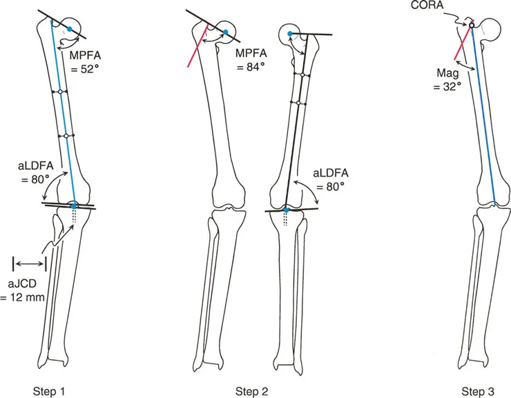 وصف طبي دقيق للمريض