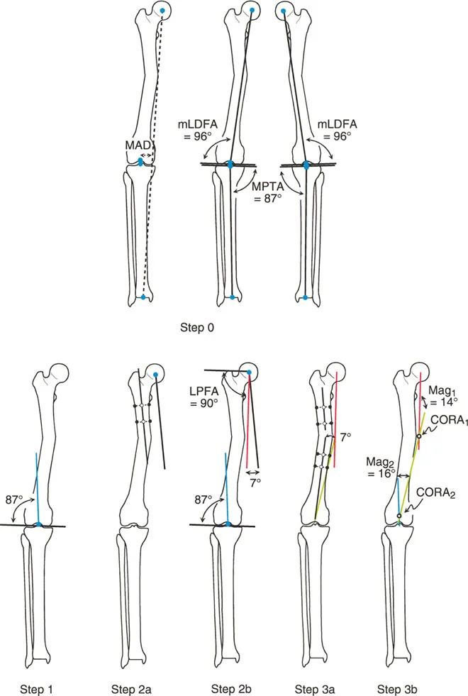 وصف طبي دقيق للمريض