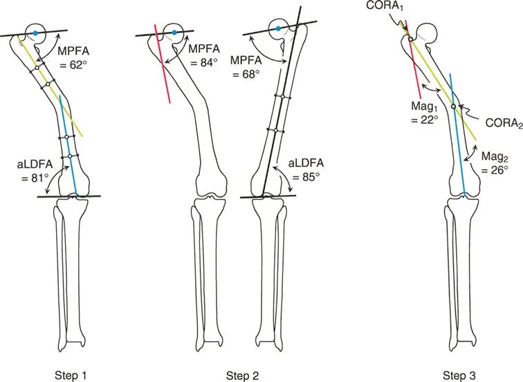 وصف طبي دقيق للمريض