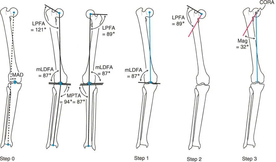 وصف طبي دقيق للمريض