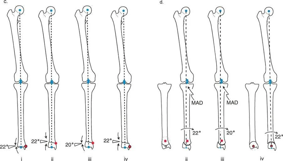 وصف طبي دقيق للمريض