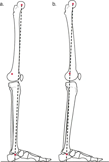 وصف طبي دقيق للمريض