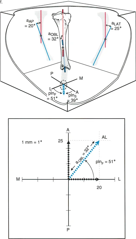 صورة توضيحية لتصور مخطط الصندوق ثلاثي الأبعاد