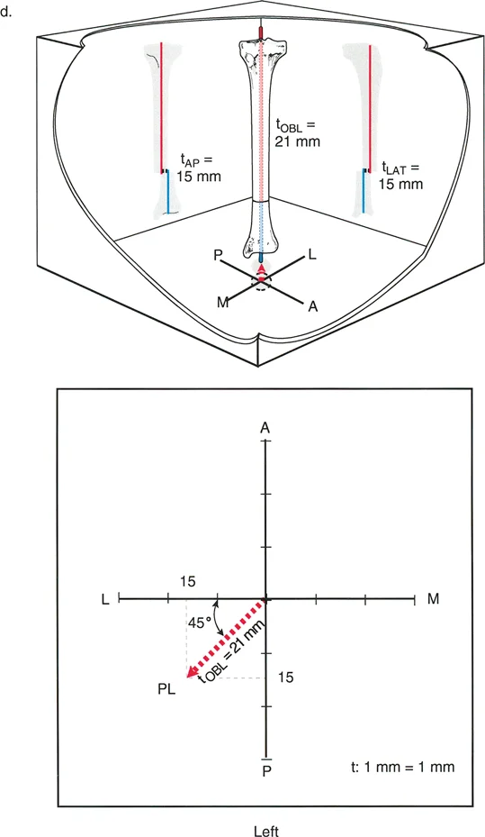 وصف طبي دقيق للمريض