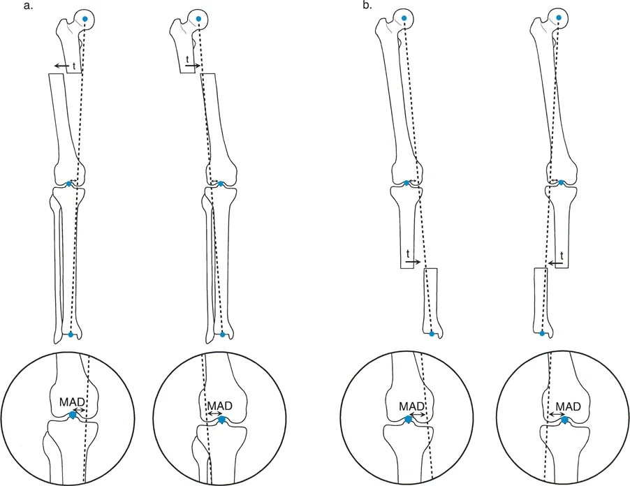 وصف طبي دقيق للمريض