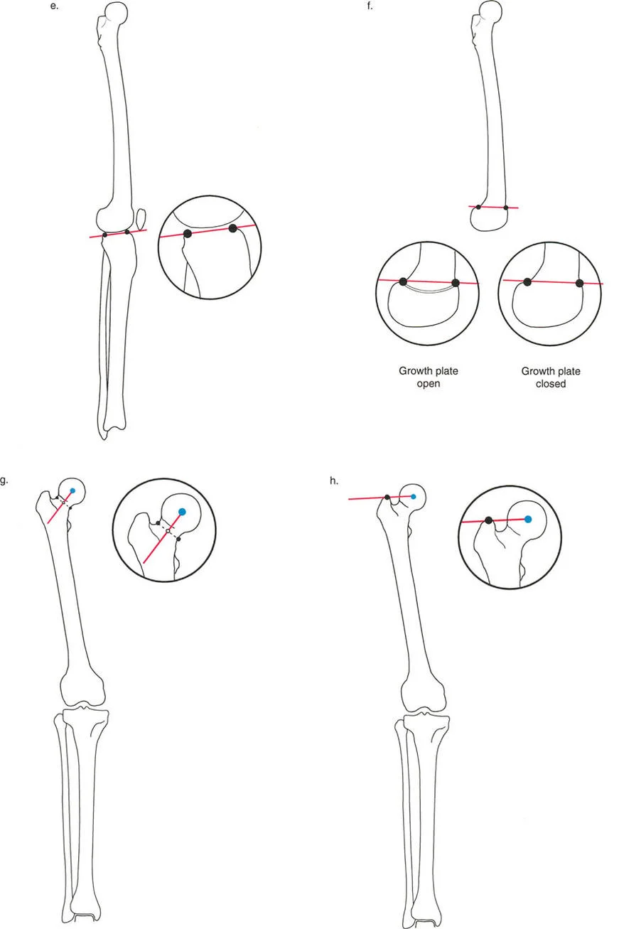 وصف طبي دقيق للمريض