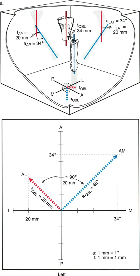 وصف طبي دقيق للمريض