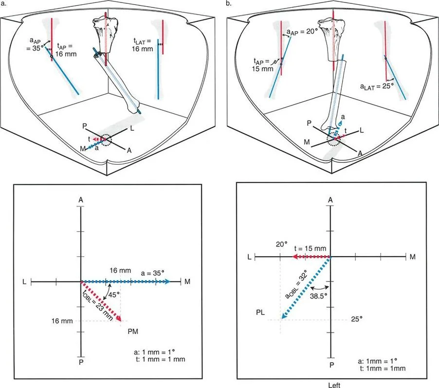 وصف طبي دقيق للمريض