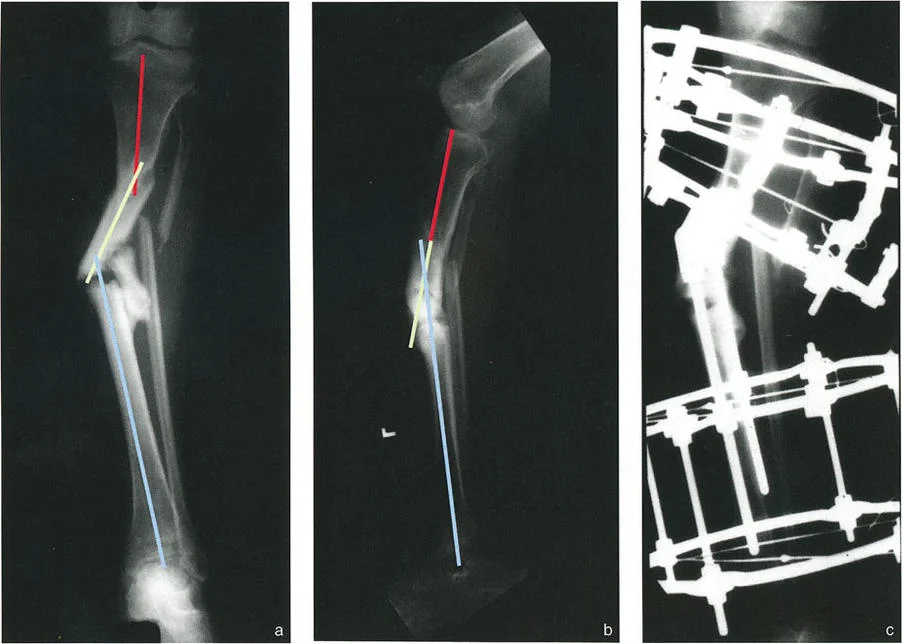 وصف طبي دقيق للمريض