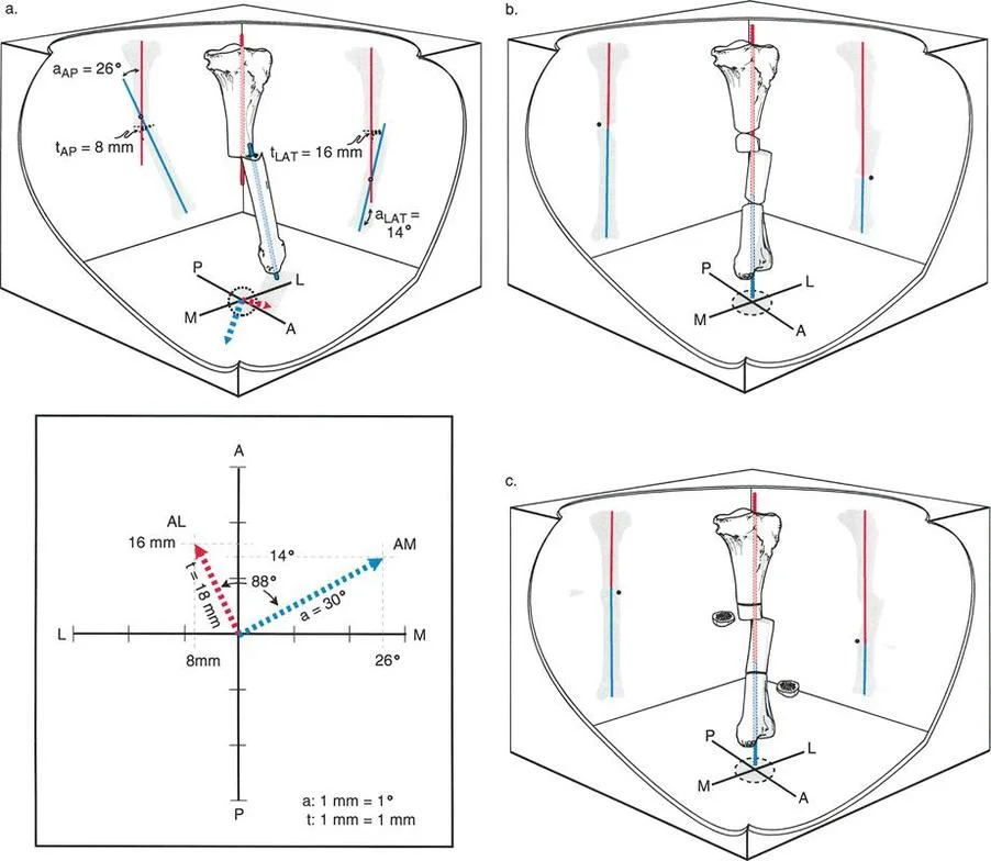 وصف طبي دقيق للمريض