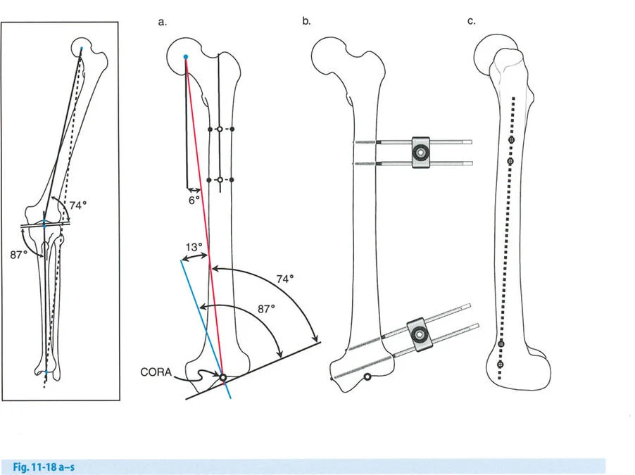 وصف طبي دقيق للمريض