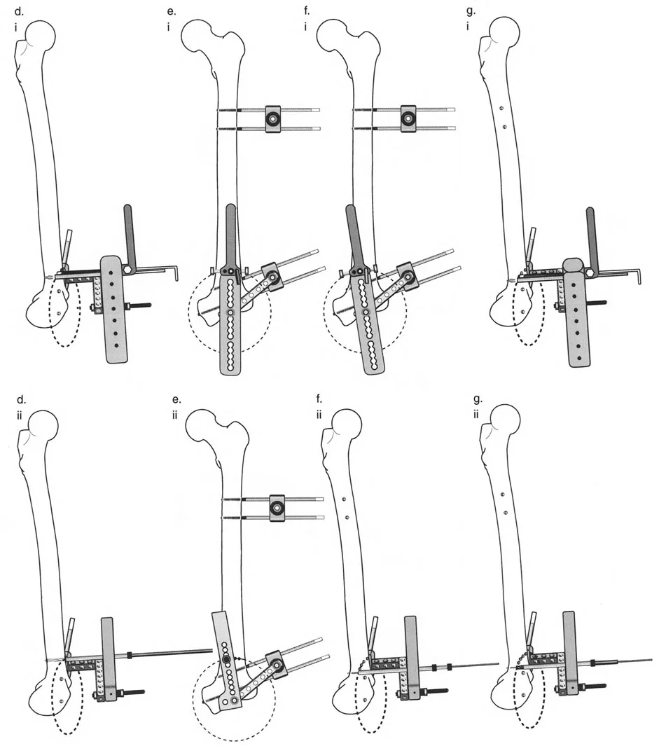 وصف طبي دقيق للمريض