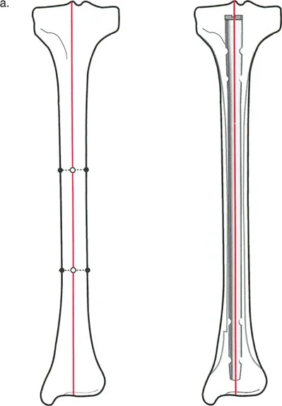 وصف طبي دقيق للمريض