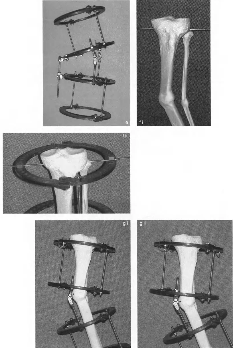 صورة توضيحية لتخطيط تشوه مائل يجمع بين الانحراف الأمامي والجانبي.