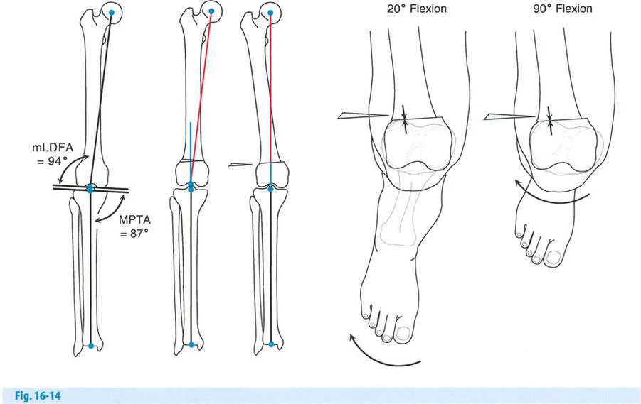 وصف طبي دقيق للمريض