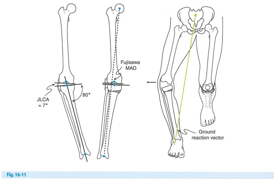 وصف طبي دقيق للمريض