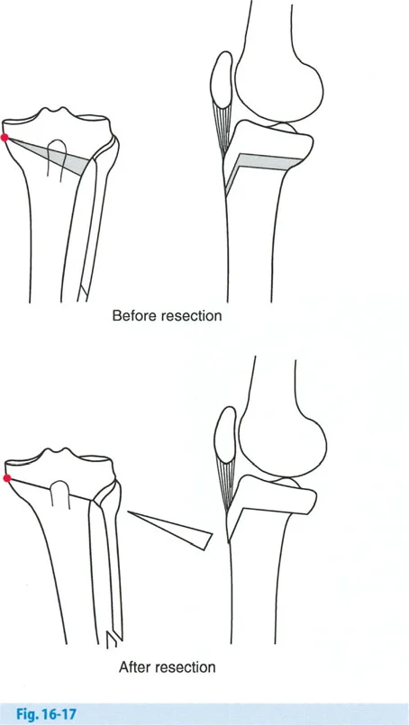 وصف طبي دقيق للمريض