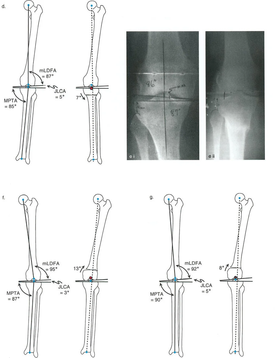 وصف طبي دقيق للمريض
