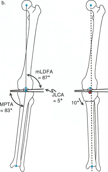 وصف طبي دقيق للمريض