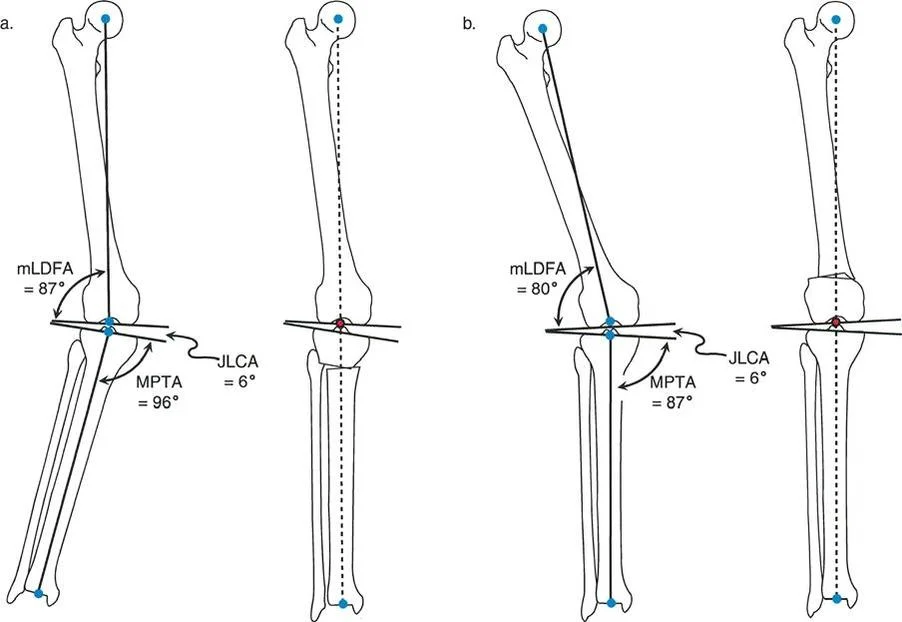 وصف طبي دقيق للمريض