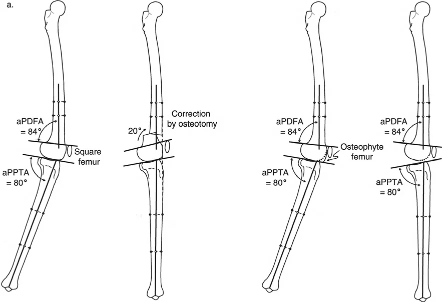 وصف طبي دقيق للمريض