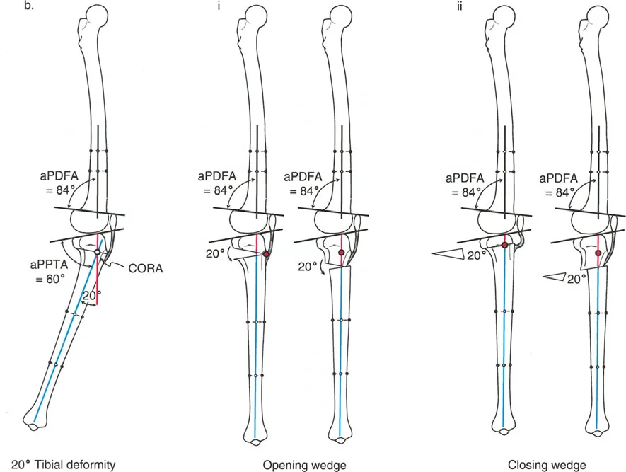 وصف طبي دقيق للمريض