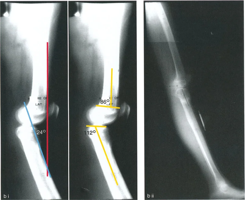 وصف طبي دقيق للمريض