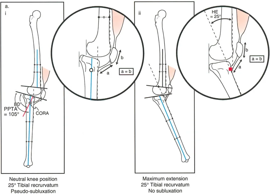 وصف طبي دقيق للمريض