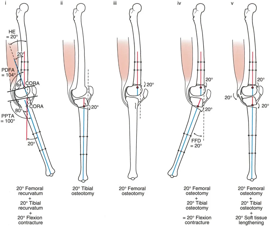 وصف طبي دقيق للمريض