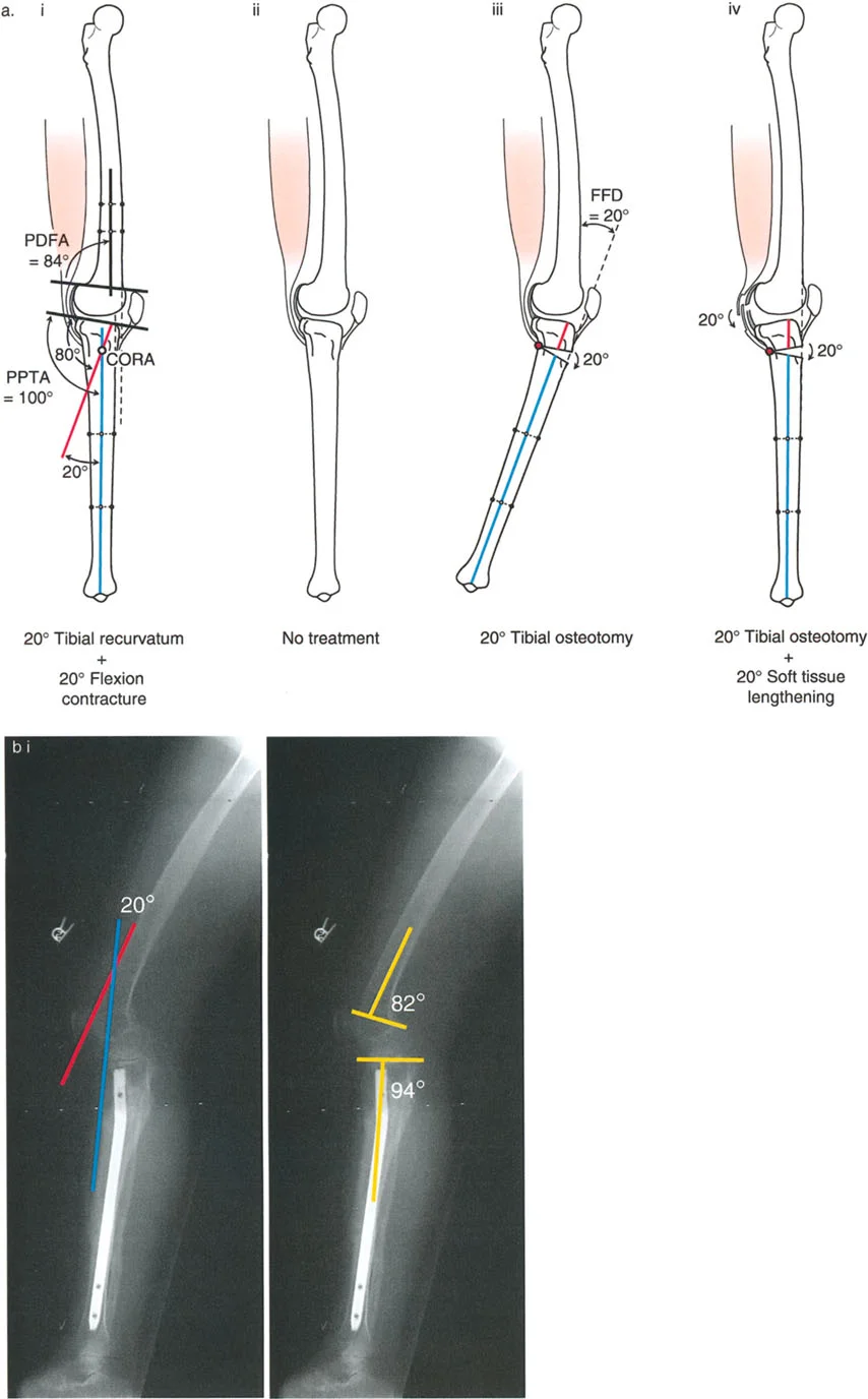 وصف طبي دقيق للمريض