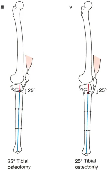 وصف طبي دقيق للمريض