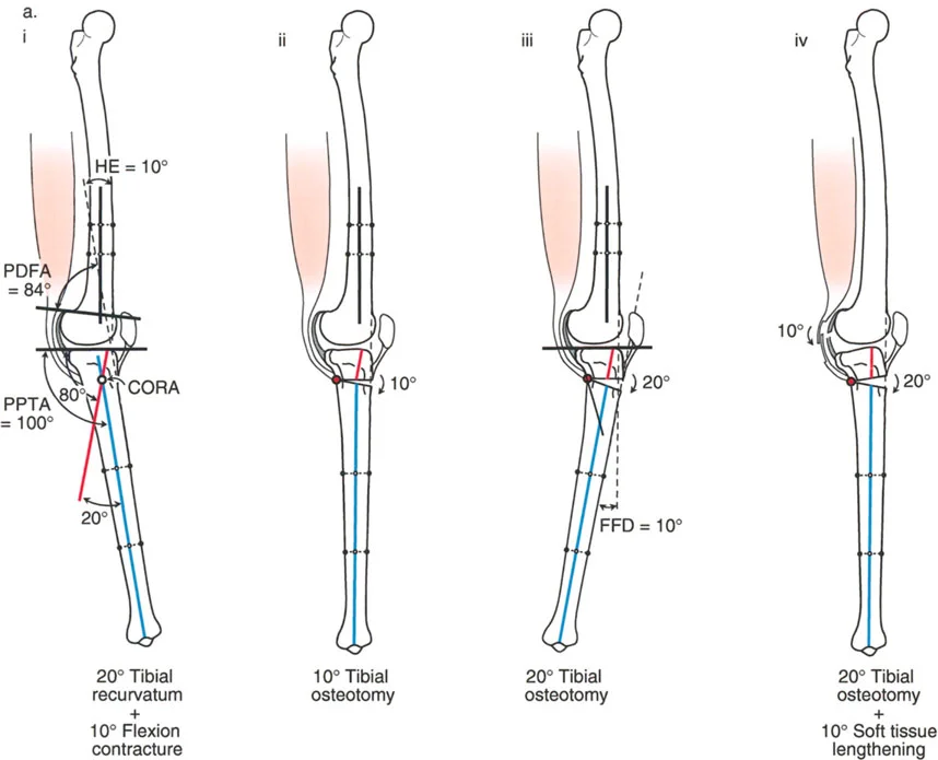 وصف طبي دقيق للمريض