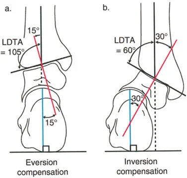وصف طبي دقيق للمريض