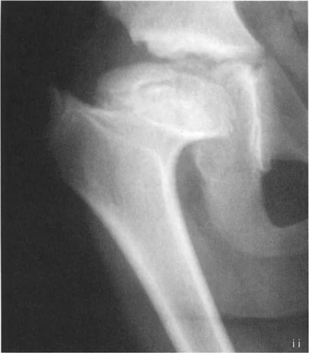 وصف طبي دقيق للمريض