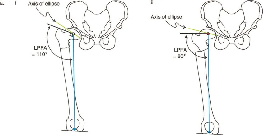 وصف طبي دقيق للمريض