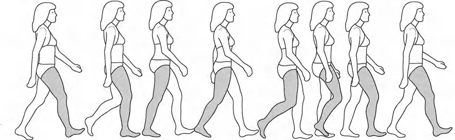 صورة توضيحية لـ صفائح النمو وتفاوت طول الأطراف: دليل شامل للتنبؤ والعلاج في صنعاء