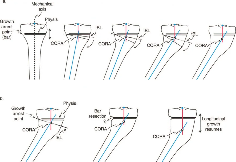 وصف طبي دقيق للمريض
