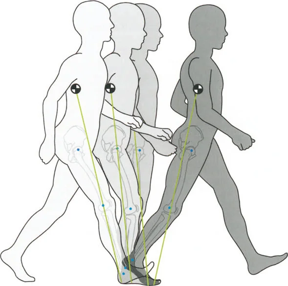 رسم توضيحي لآليات الدوران الثلاثة