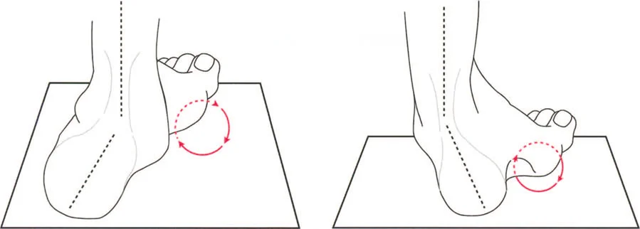 صورة توضح زوايا مفصل الركبة