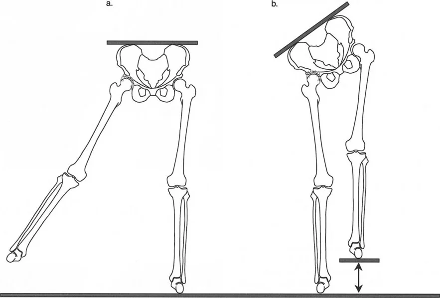 رسم توضيحي لمتجه رد فعل الأرض مع تشوه